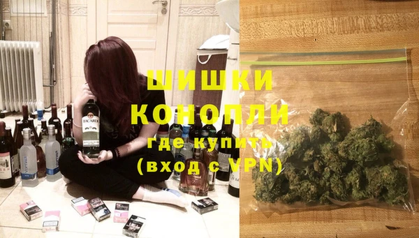 твердый Алзамай