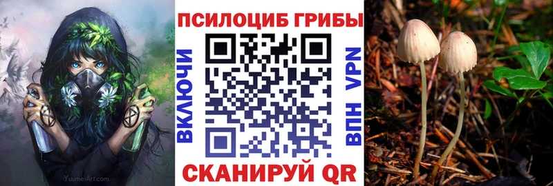 Купить  Юрюзань  Галлюциногенные грибы ЛСД 